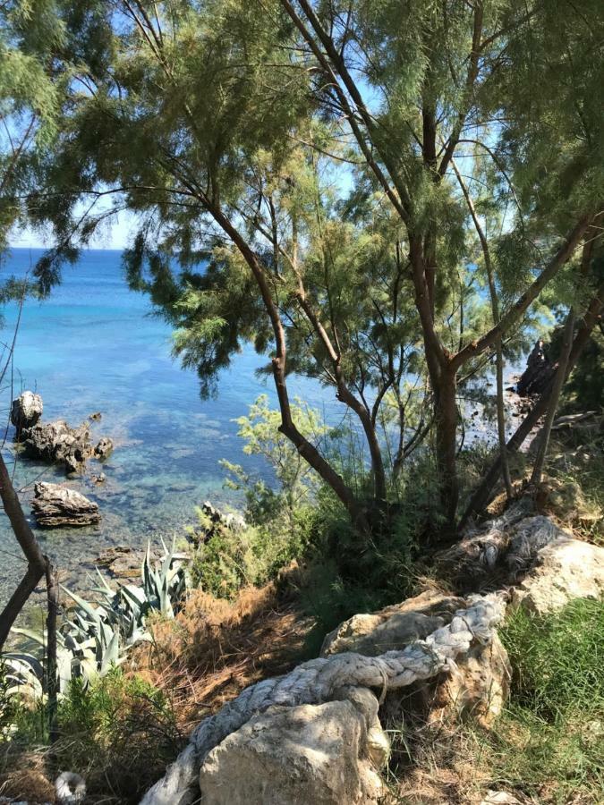 Seafront Studio With Direct Beach Access Koroni  Exterior photo